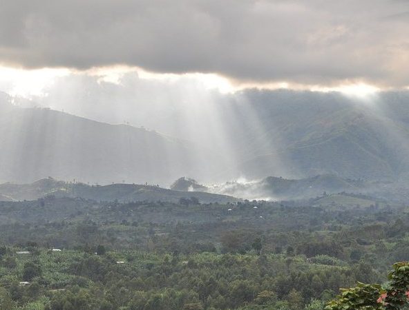 Biodiversity and beauty in rwenzori