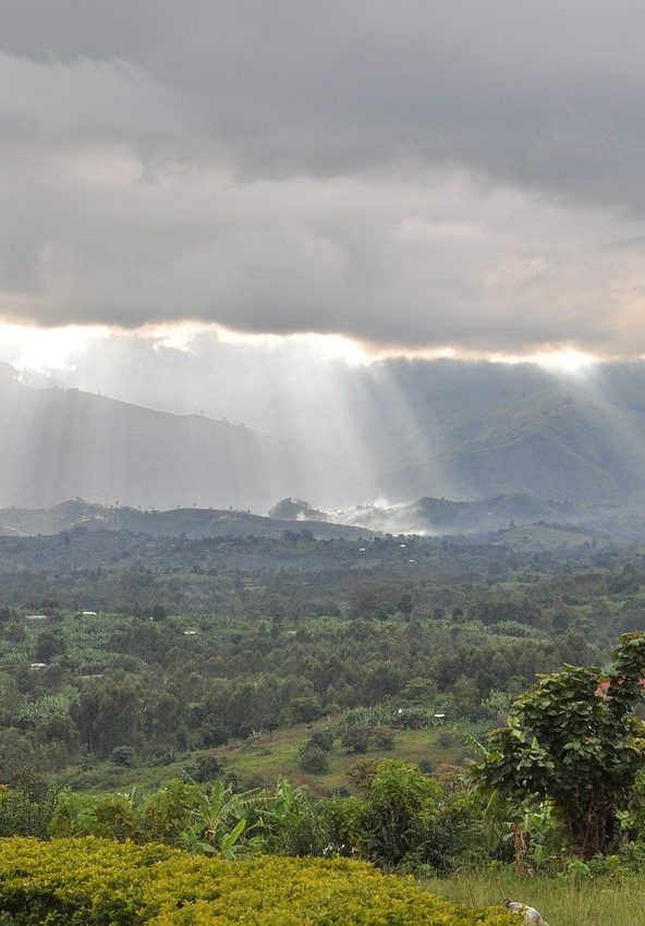 rwenzori-4341914_1280